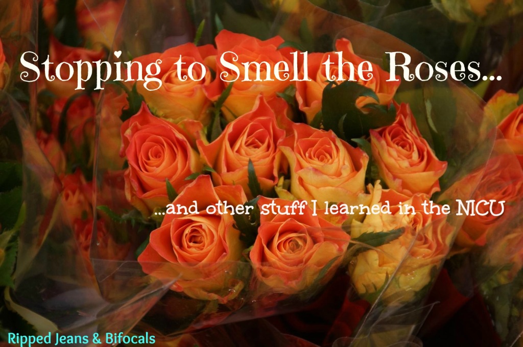 Never stop smelling that ass 6